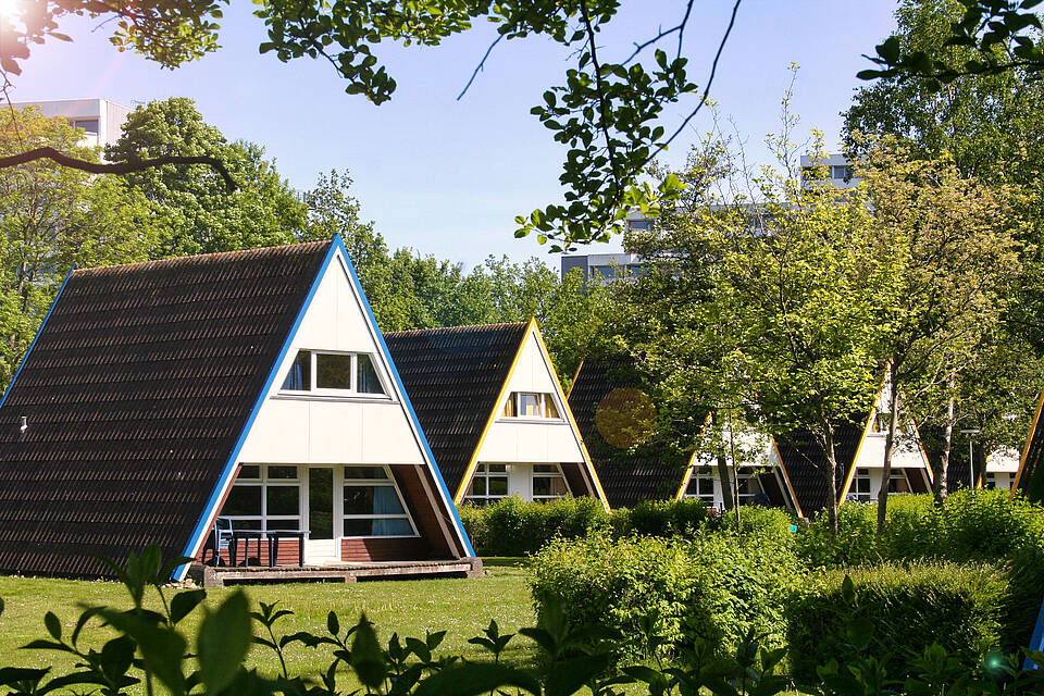 Nurdachhäuser im Ostsee Resort Dampland Blick auf die Nurdachhäuser