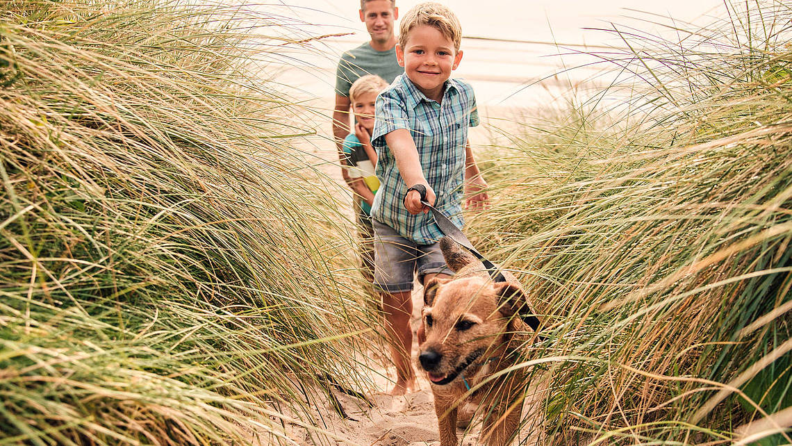 Familie wandert mit einem Hund durch die Dünen