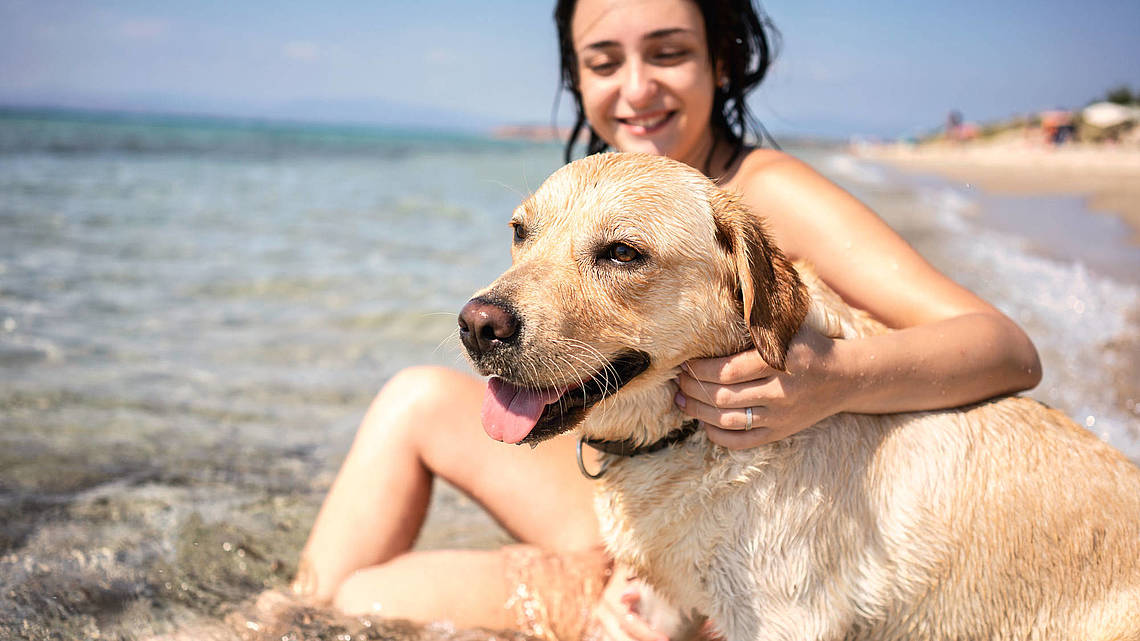 Eine junge Frau sitzt mit ihrem Hund im flachen Ostseewasser