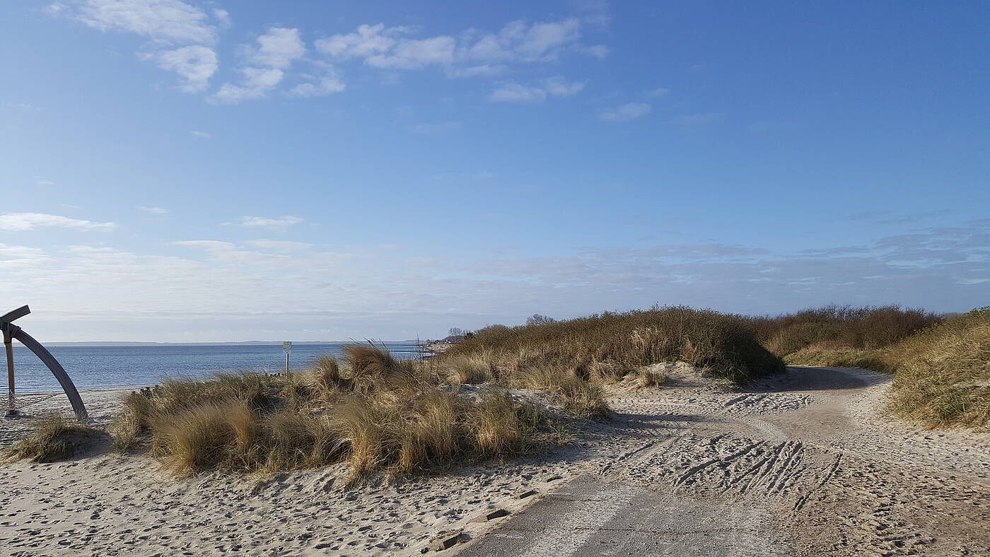 Hundestrand I Urlaub mit Hund