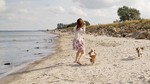 Hundestrand Ostsee Resort Dampland Eine Frau wirft einen Stock am Hundestrand